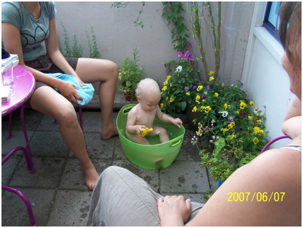 584x433 pixels (234K)